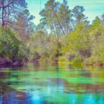 day trips from St. Petersburg FL best nearby escapes map collage