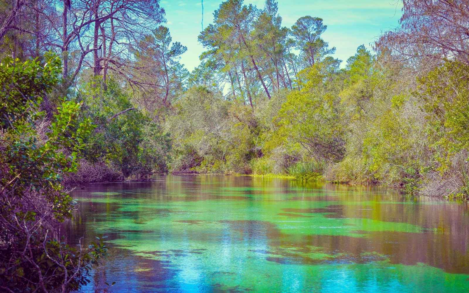 day trips from St. Petersburg FL best nearby escapes map collage
