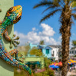 Things to do in Gulfport FL, colorful gecko sculpture on Beach Boulevard waterfront district