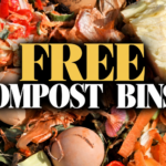 Kitchen scraps like carrot peels and eggshells for composting with a free compost bin in St. Pete