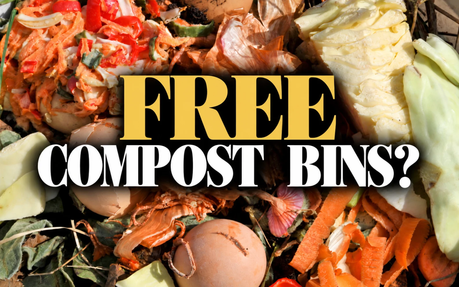 Kitchen scraps like carrot peels and eggshells for composting with a free compost bin in St. Pete
