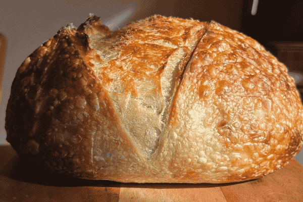 Golden-brown scored sourdough loaf from The Golden Grain, a St. Pete sourdough bakery